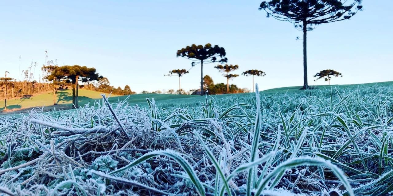 Simepar prevê inverno com poucas ondas de frio, veranicos, nevoeiros e geadas