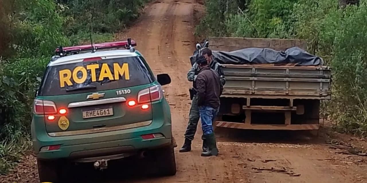 Polícia Ambiental apreende carga de imbuia, no interior de Inácio Martins