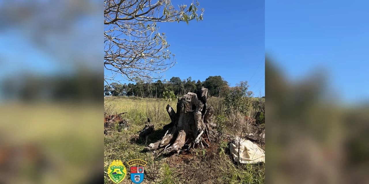 Em Inácio Martins proprietário é autuado em R$ 400 mil por não possuir autorização ambiental
