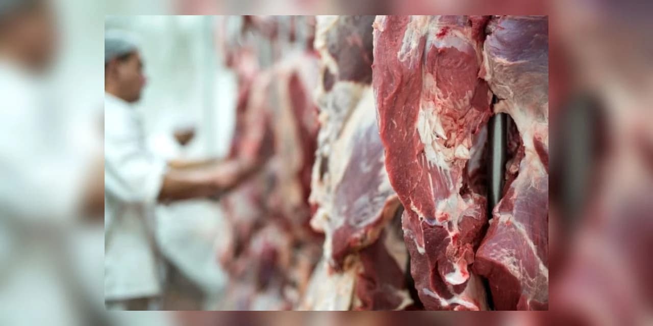 Homem é detido após tentar furtar carne e chinelos de mercado, em Prudentópolis