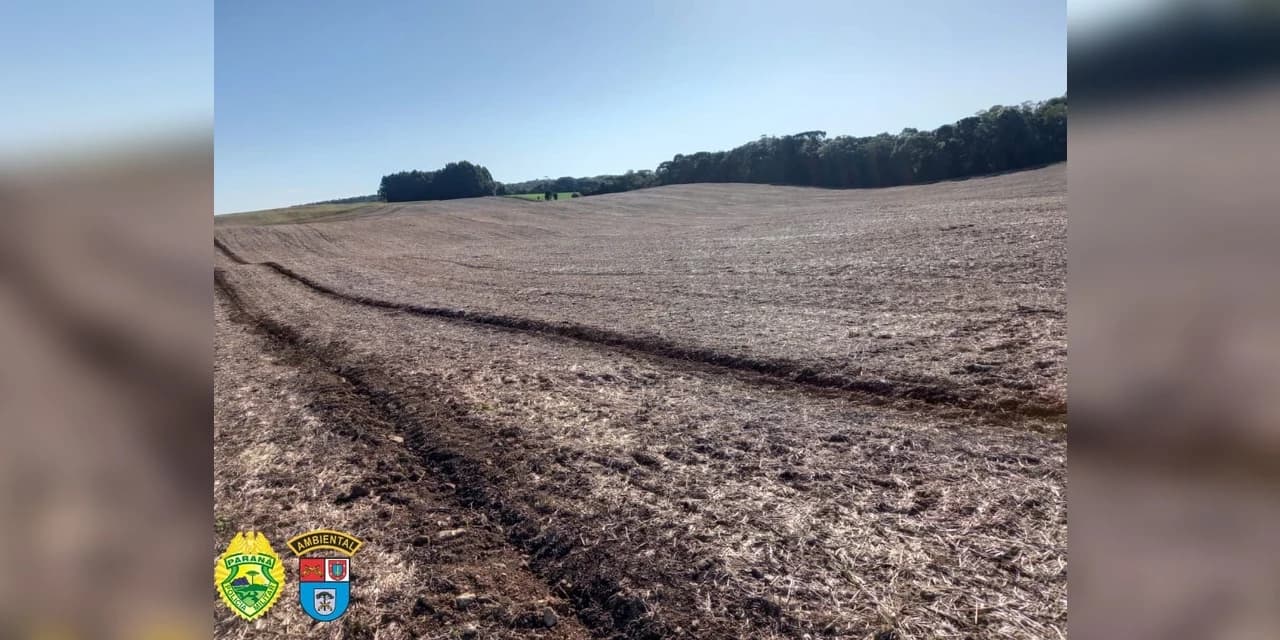 Polícia autua homem em mais de R$ 140 mil por danos ambientais, em Pinhão