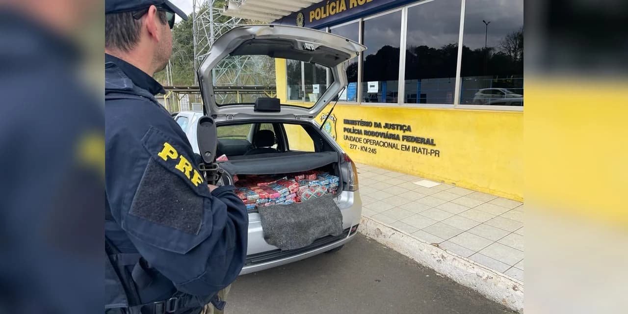PRF apreende 175Kg de maconha em Irati