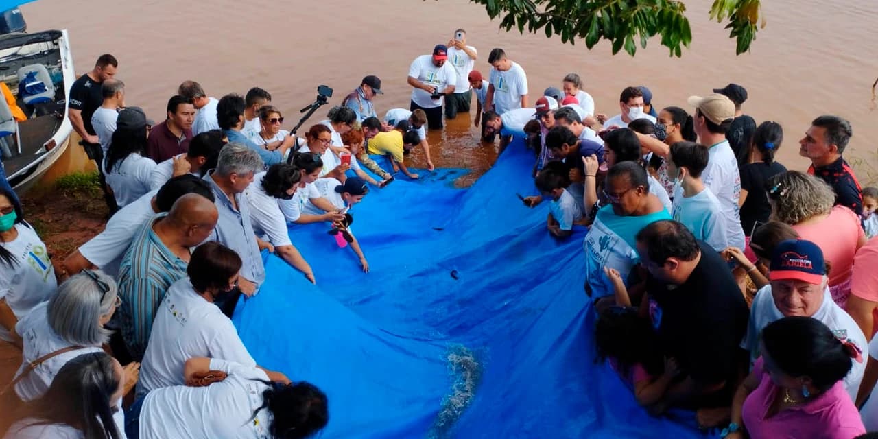Estado vai repovoar rios do Paraná com mais 10 milhões de peixes nativos até 2026