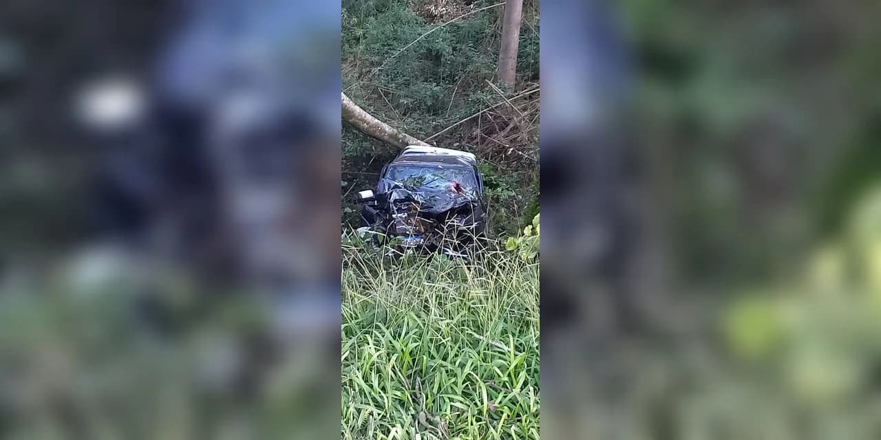 Homem morre após camionete sair da rodovia e bater contra árvore na BR 277, em Prudentópolis