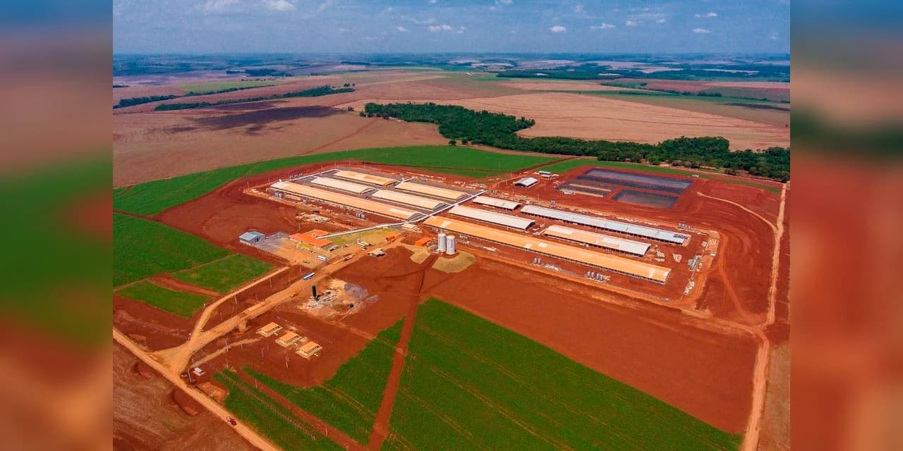 Estudo coloca 11 cooperativas agrícolas paranaenses entre as maiores do mundo