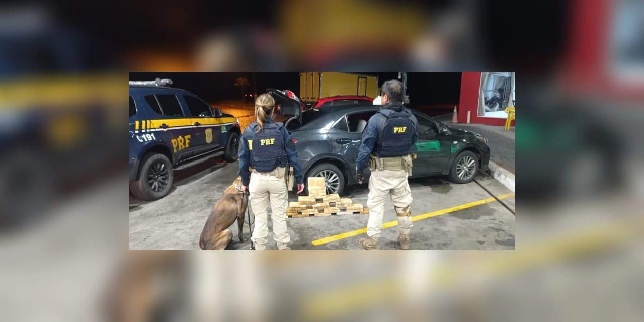 PRF apreende carga milionária de cocaína em fundo falso de veículo em São José dos Pinhais/PR