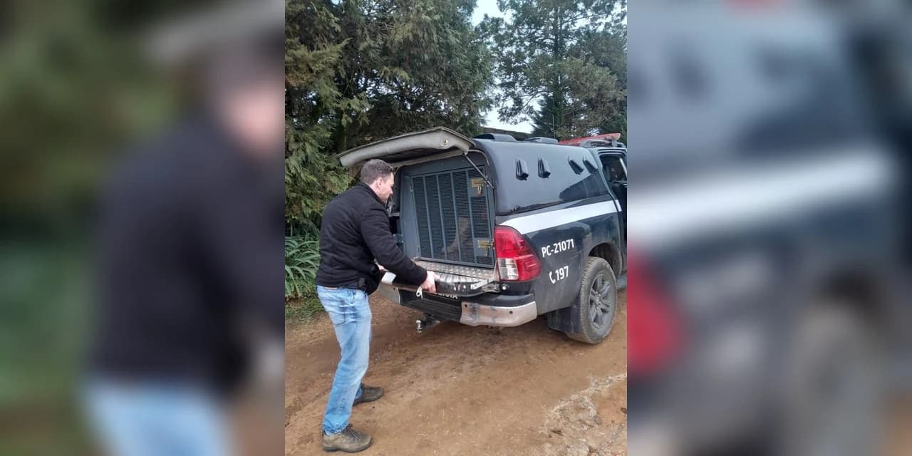 Polícia Civil de Castro prende em flagrante pai por estupro de vulnerável praticado contra a própria filha