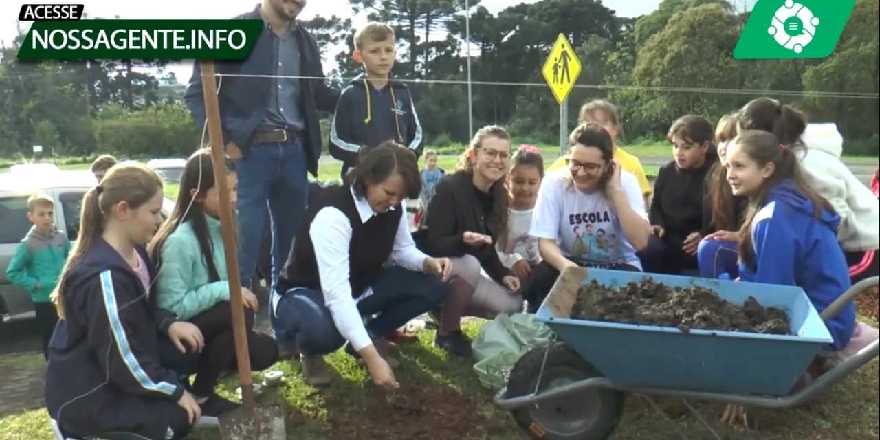 Em homenagem a Ucrânia escola Clotilde realizou a plantação de 1000 pés de girassol. VÍDEO!