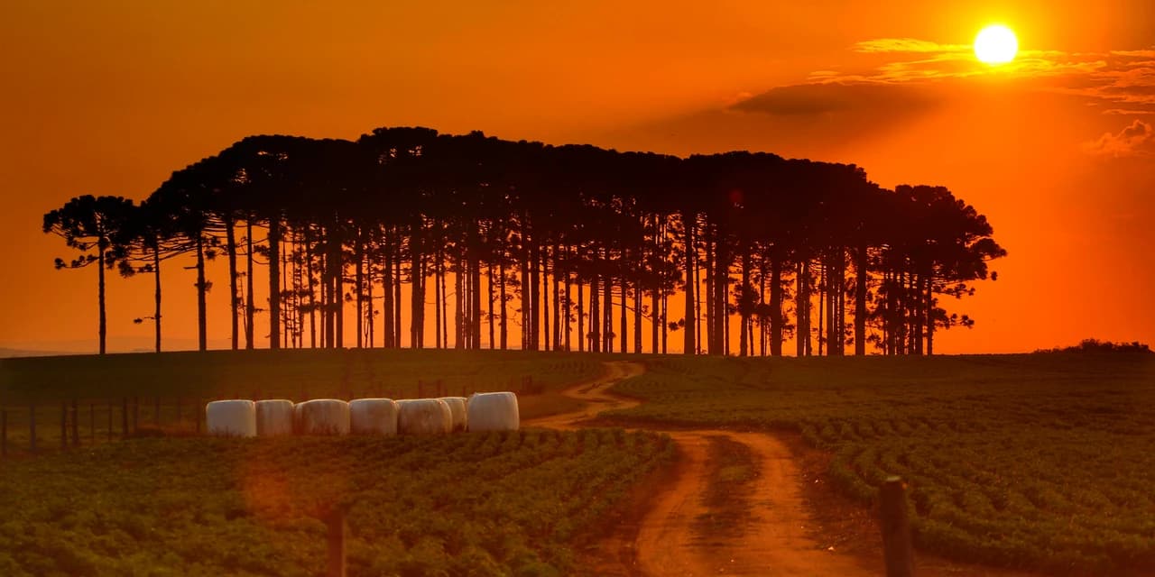 Estado lança plataforma interativa sobre riscos de grandes eventos climáticos