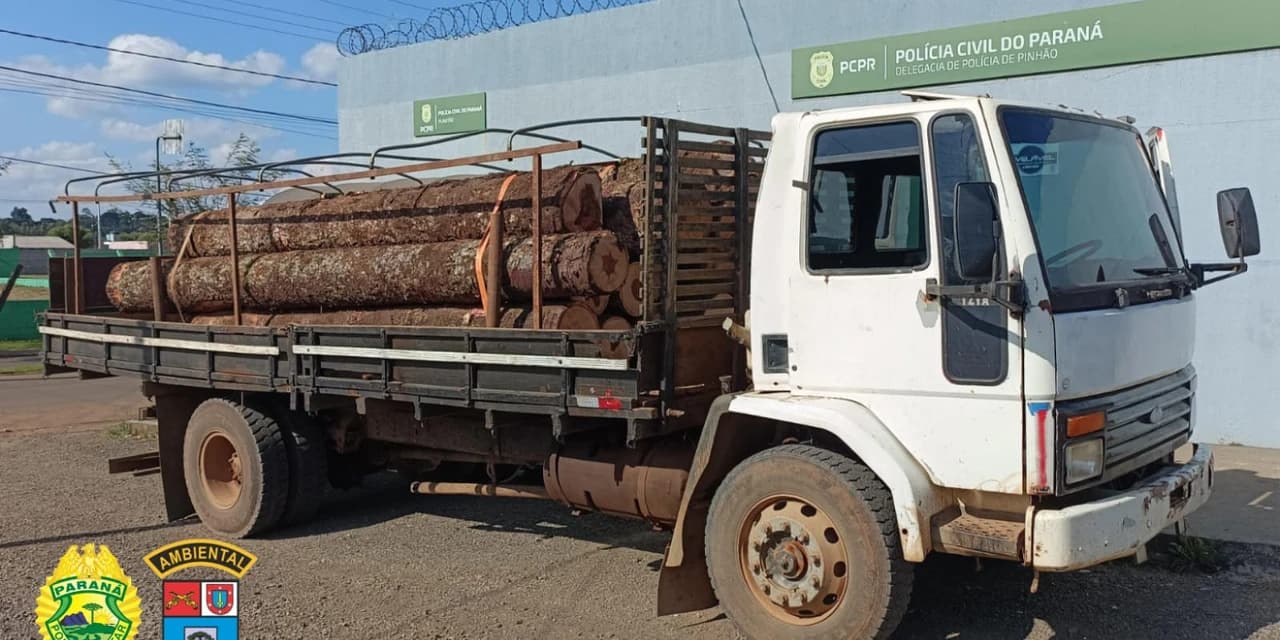 Policia Militar e Ambiental, apreende carga ilegal de toras de araucária no Pinhão.