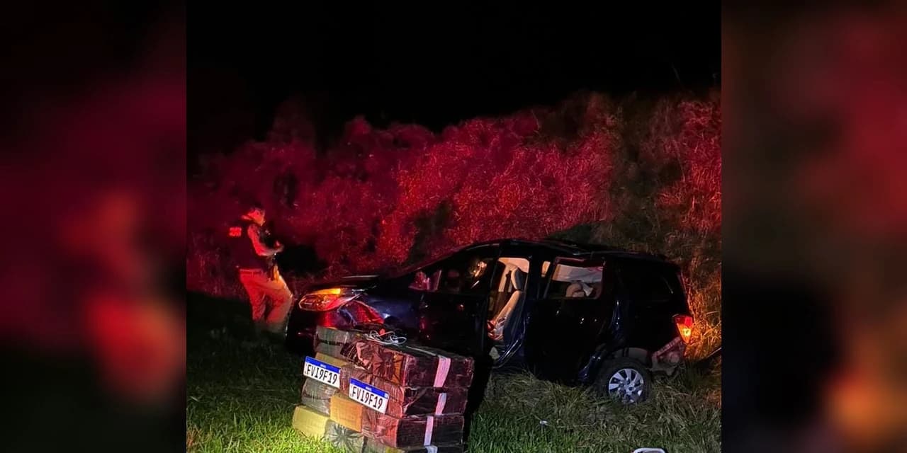 Em menos de uma semana, equipe da PM de Manoel Ribas apreende mais de 784 kg de substância análoga a maconha