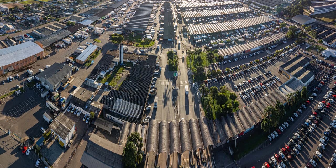 Ceasa Curitiba recebe exposição com 300 Kombis neste domingo