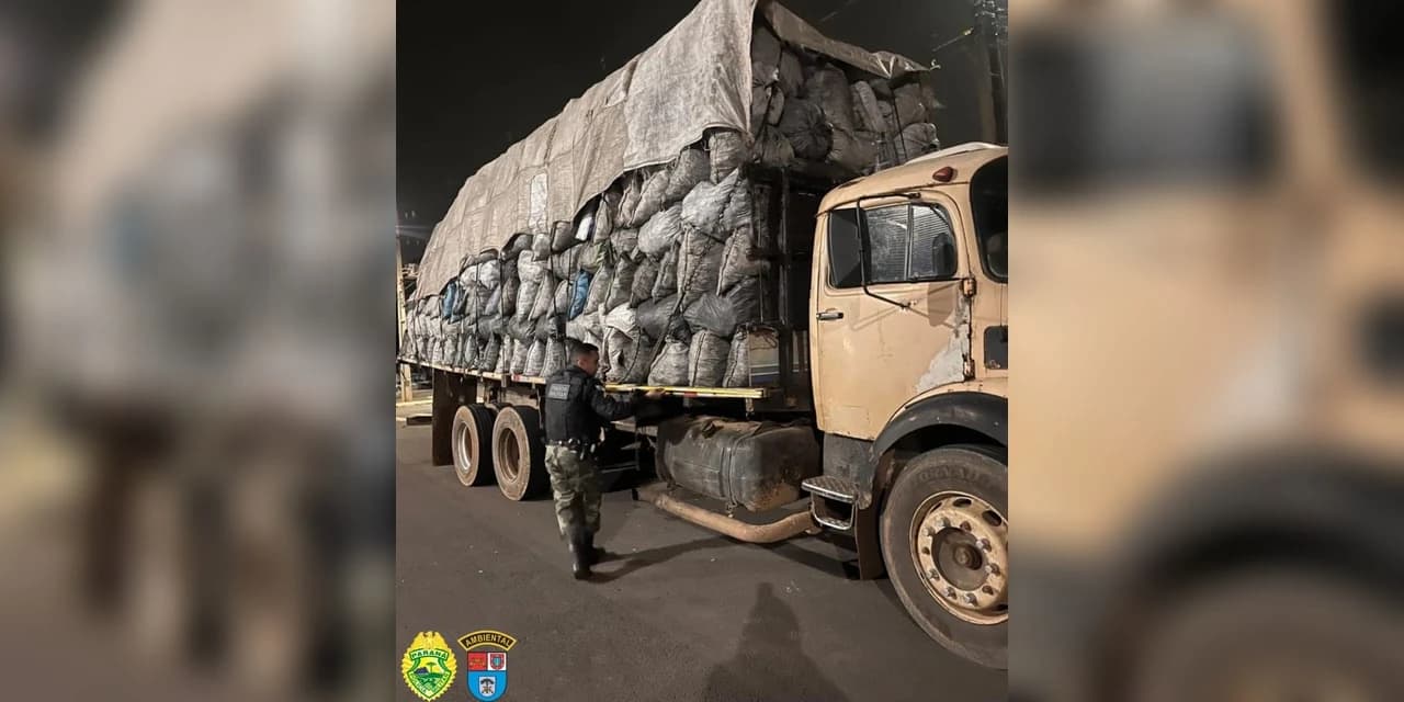 Em Guarapuava polícia ambiental apreende caminhão carregado com carvão
