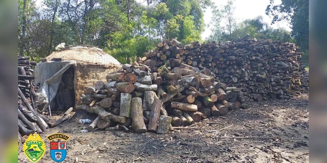 Em Prudentópolis policiais ambientais encontram forno de carvão funcionando sem autorização