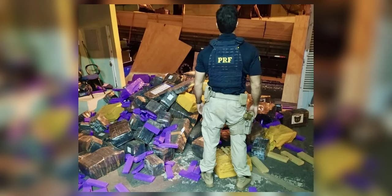 Carga de madeira mal acondicionada escondia mais de 5 toneladas de maconha no Paraná