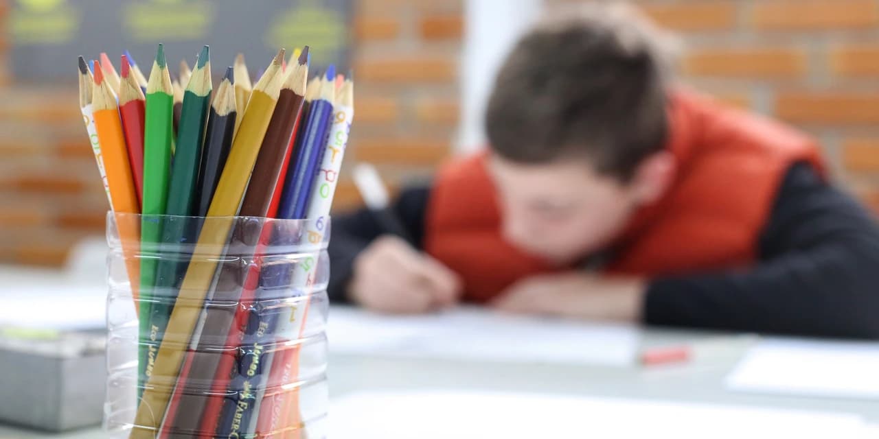 Governo cria grupo de trabalho para estudar melhorias nas escolas de educação especial