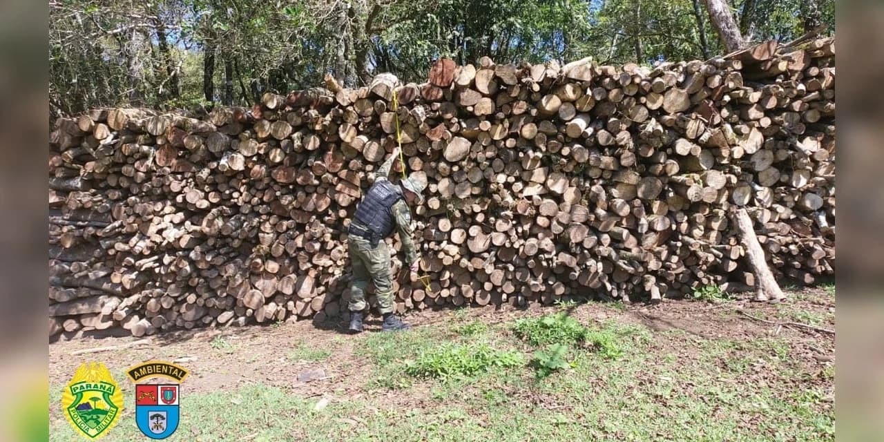 Em Prudentópolis polícia ambiental apreende lenha nativa