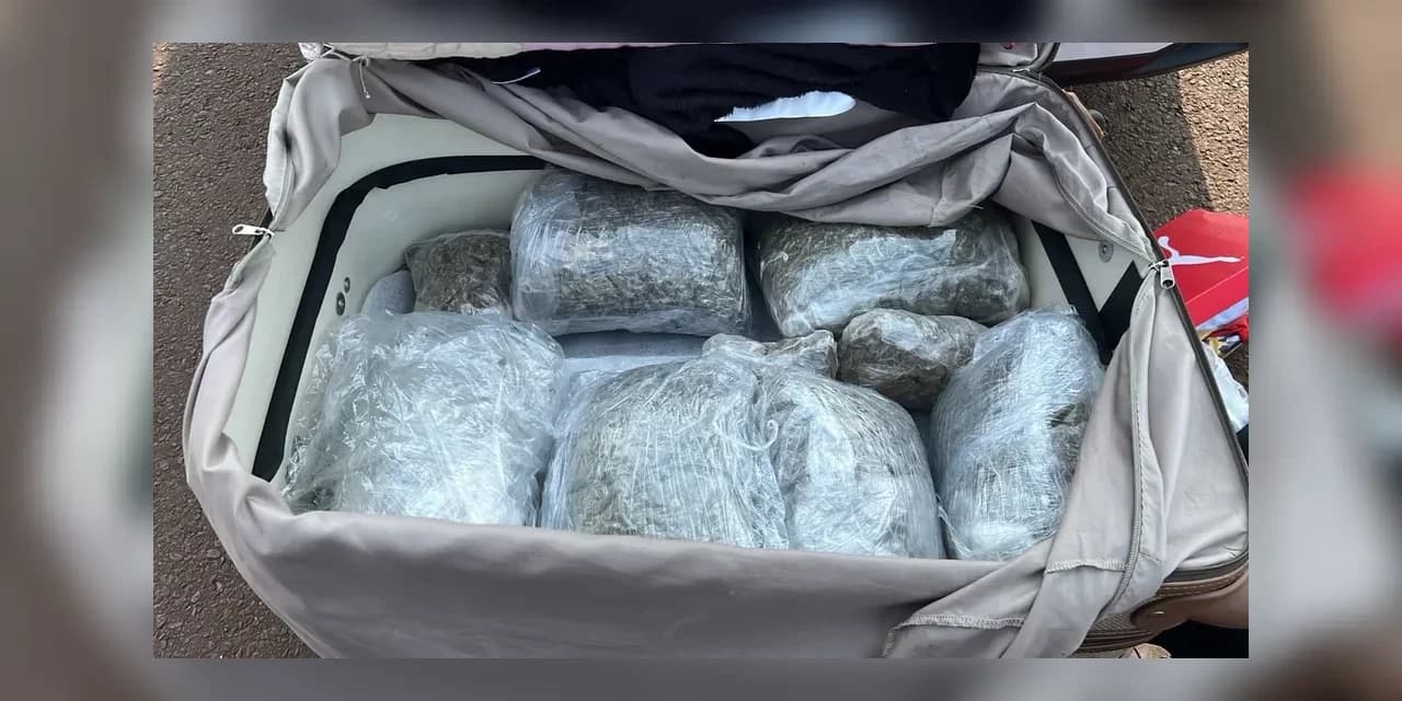 7 kg de capulho, uma variação da maconha, são apreendidos na BR-277