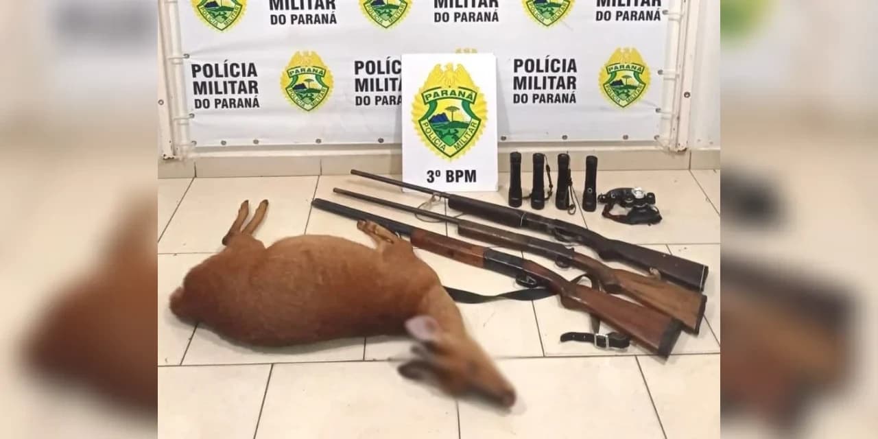 Policiais pegam no flagra caçadores armados saindo de mata com animal silvestre abatido ilegalmente