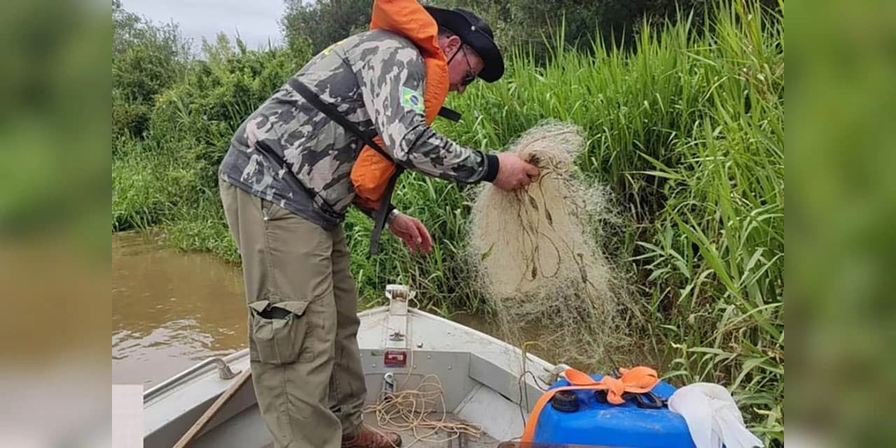 Defeso da piracema começa na quarta-feira e terá intensa fiscalização do IAT