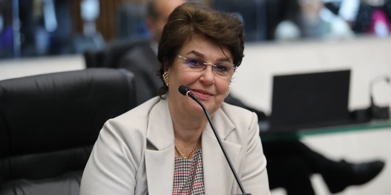 Luta histórica da deputada Cristina Silvestri, Fundo Estadual dos Direitos da Mulher inicia repasses aos municípios