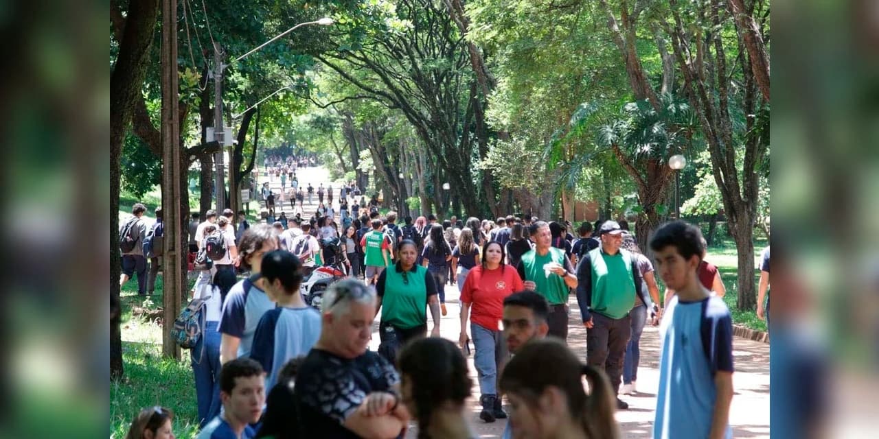 Paraná Faz Ciência recebe mais de 20 mil visitantes em cinco dias de evento