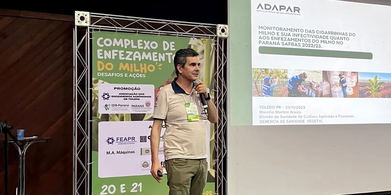 Estado orienta produtores sobre riscos do enfezamento do milho em evento em Toledo