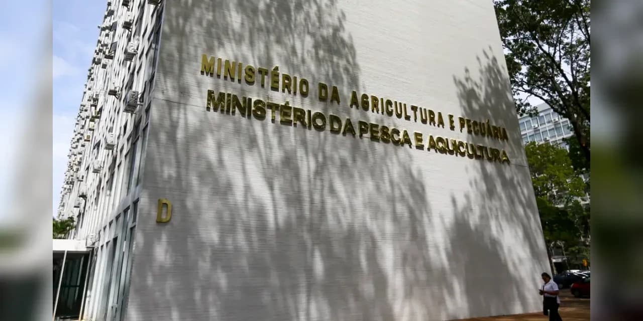 Força-tarefa apreende mais de 6 mil garrafas de azeite falsificado