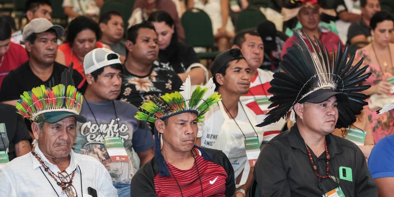 Conselho dos Povos Indígenas do Paraná elege primeiros representantes da história