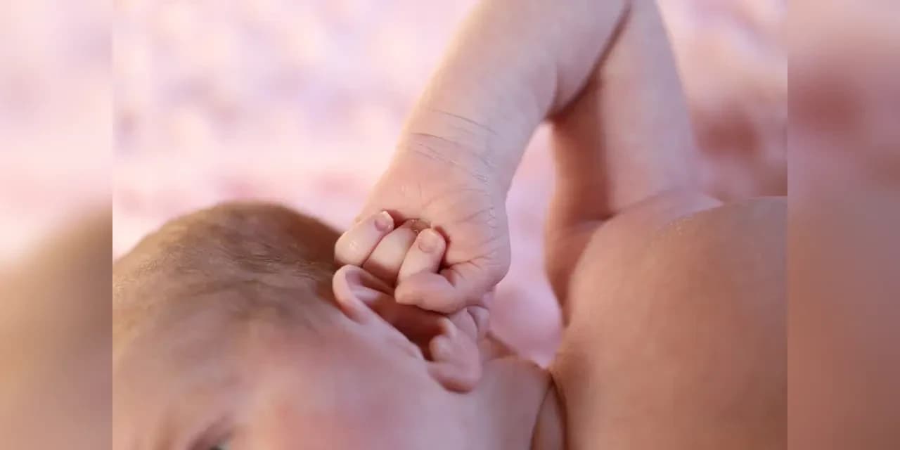 Bebê de 1 ano é entubado após se afogar com salsicha em Ponta Grossa
