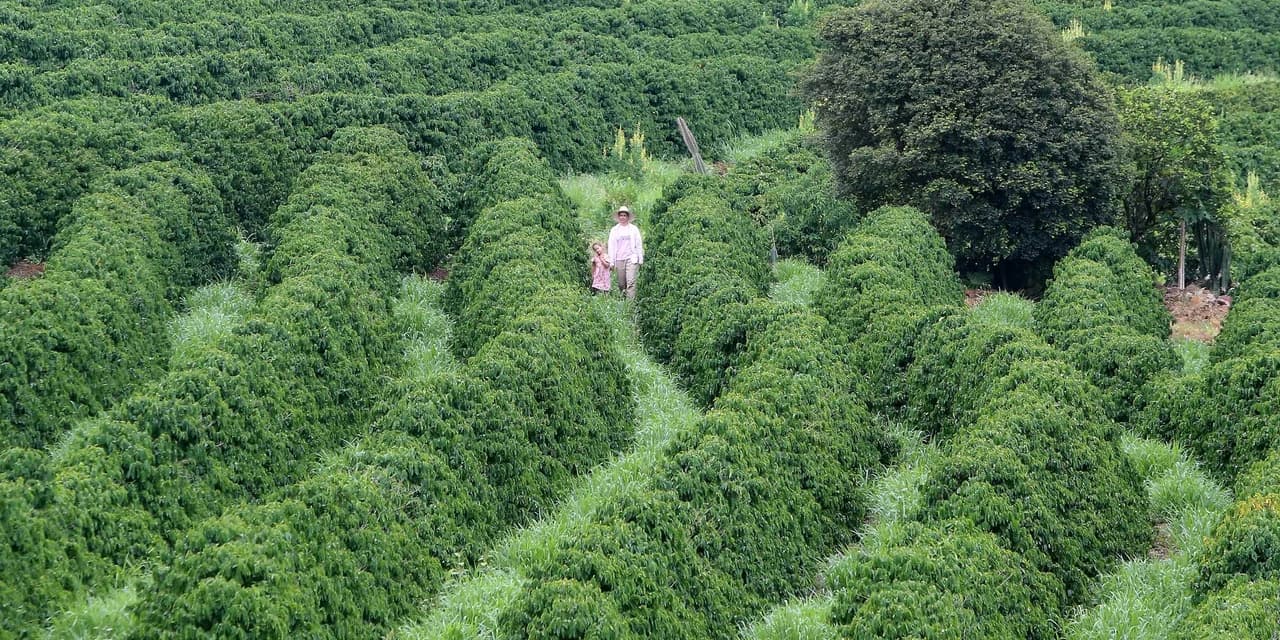 Banco do Agricultor Paranaense já financiou R$ 646 milhões em 4.180 projetos