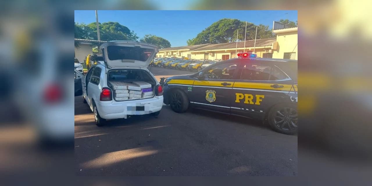 PRF prende quatro pessoas no Paraná com maconha