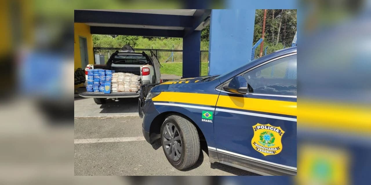 PRF apreende carga de cocaína com a ajuda de cães farejadores