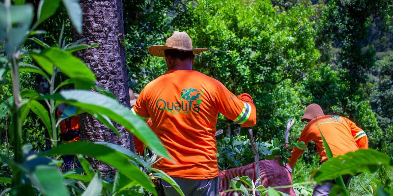 Com apoio do BRDE, empresa de erva-mate do Paraná ganha certificações internacionais