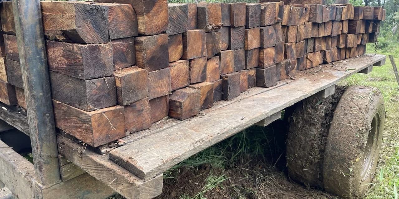 Em Inácio Martins policia ambiental prende três homens por furto de palanques de imbuia