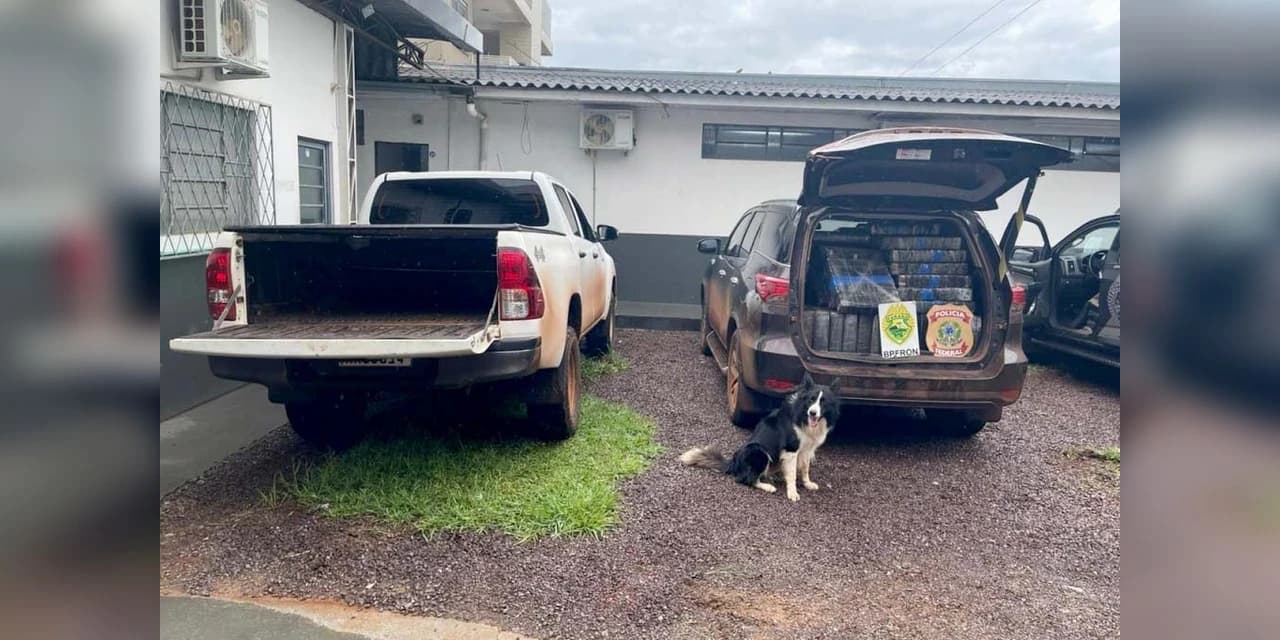 Polícia Militar e Polícia Federal apreendem 2,2 toneladas de maconha em Cascavel