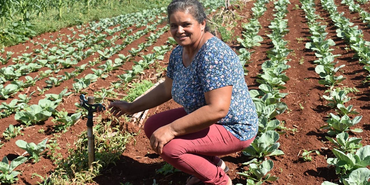 Desconto de energia para irrigação noturna beneficia 4 mil famílias de produtores rurais