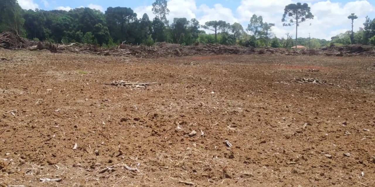 Em Fernandes Pinheiro polícia ambiental aplica multa no valor de R$ 21 mil