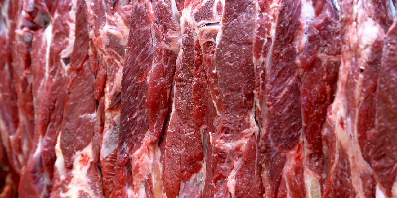 Paraná recebe autorização para exportar carne bovina ao Canadá
