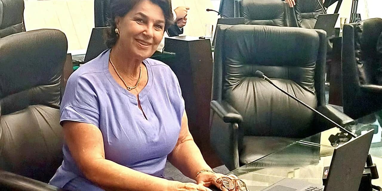 Deputada Cristina Silvestri retoma agenda na Assembleia Legislativa e fala sobre os projetos para 2024