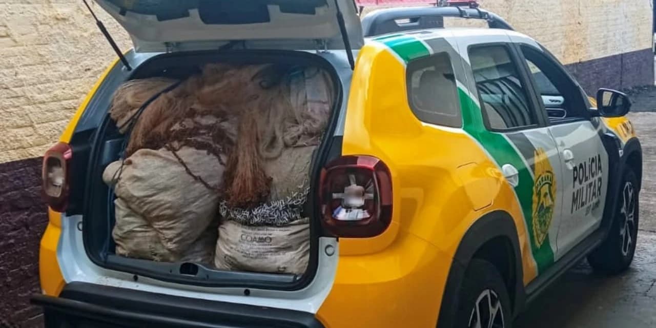 Em Cândido de Abreu polícia ambiental apreende espingardas e material de pesca