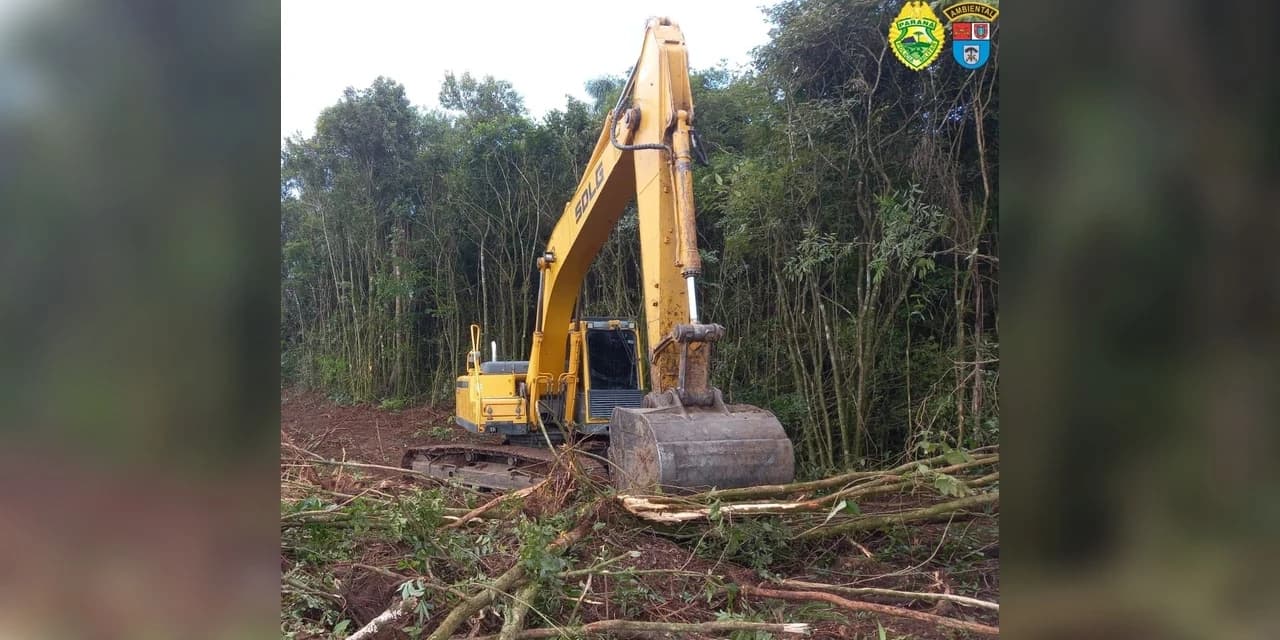 Homem é preso em flagrante destruindo vegetação nativa em Prudentópolis