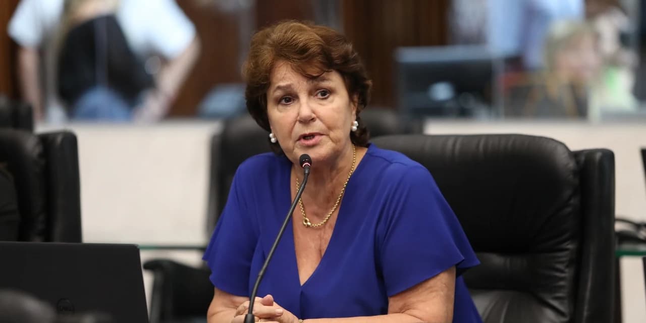 Deputada Cristina Silvestri cobra solução para apagões nas propriedades rurais