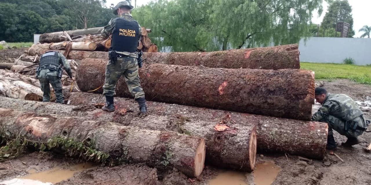 Em Imbituva homem foi atuado em mais de 86 mil reais por depósito de madeira em serraria
