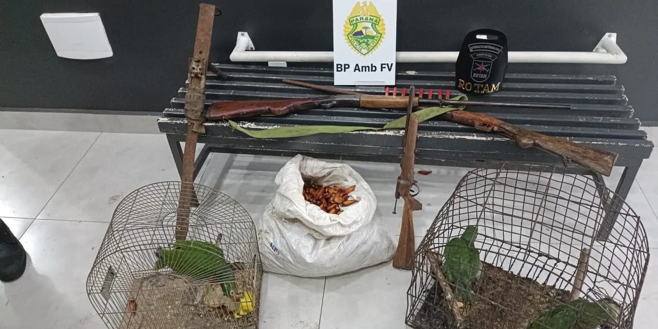 Policia Ambiental apreende papagaios ameaçados de extinção em General Carneiro.