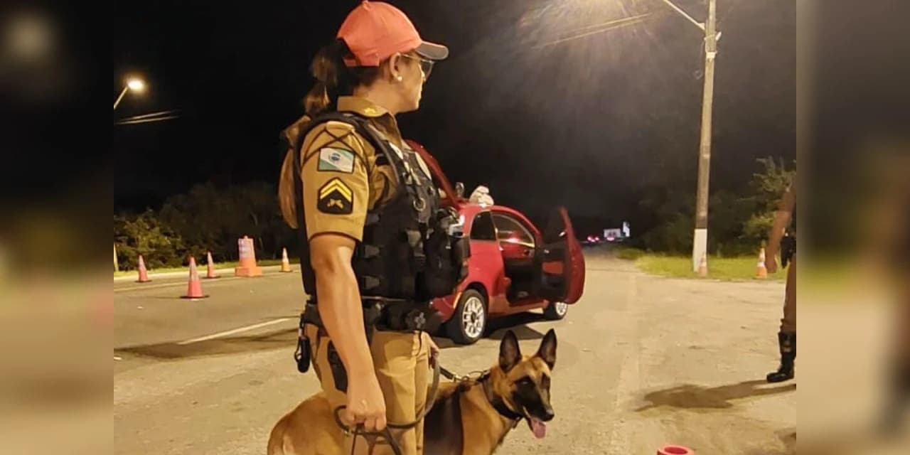 Operação Páscoa: Polícia Militar reforça fiscalização nas rodovias estaduais durante feriado