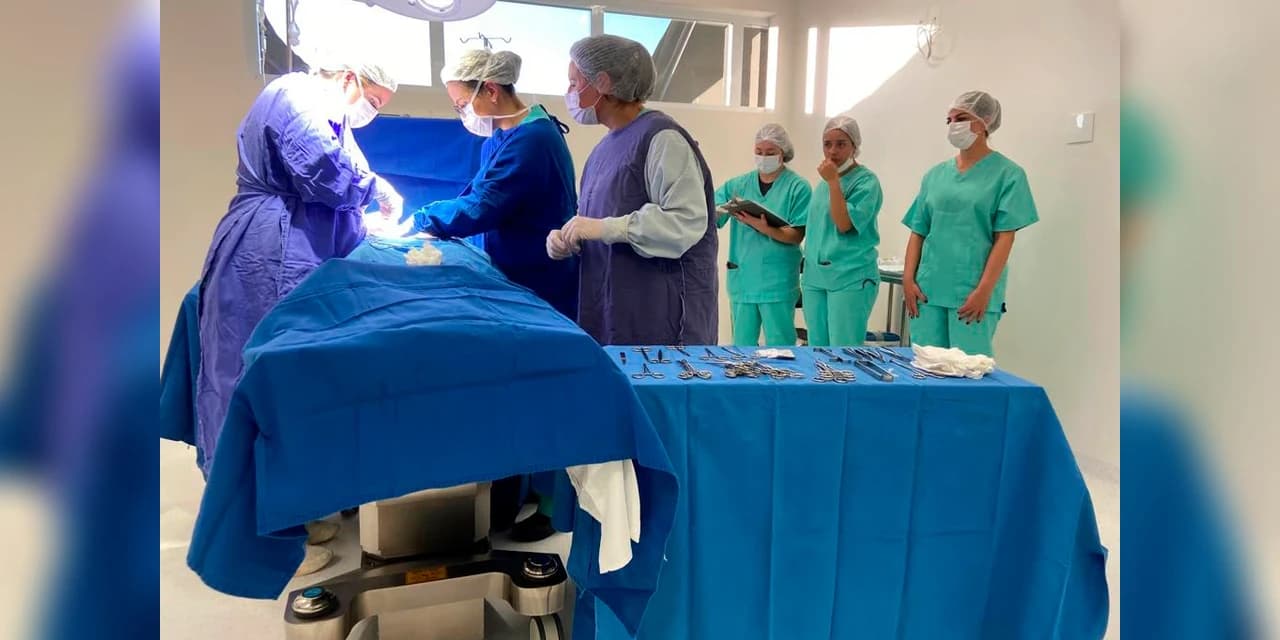 Recorde de cirurgias: Hospital de Guarapuava registrou 508 procedimentos em março