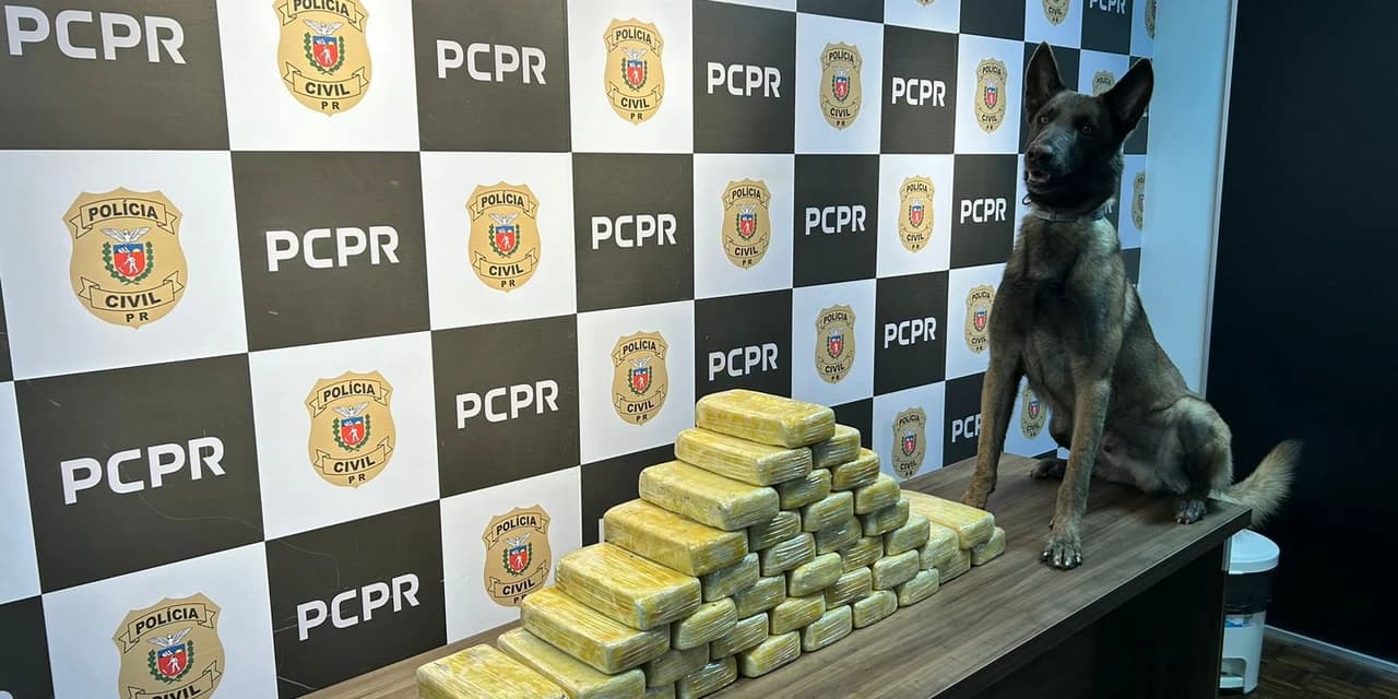 Polícia Civil apreende mais de 41 quilos de crack em Ponta Grossa