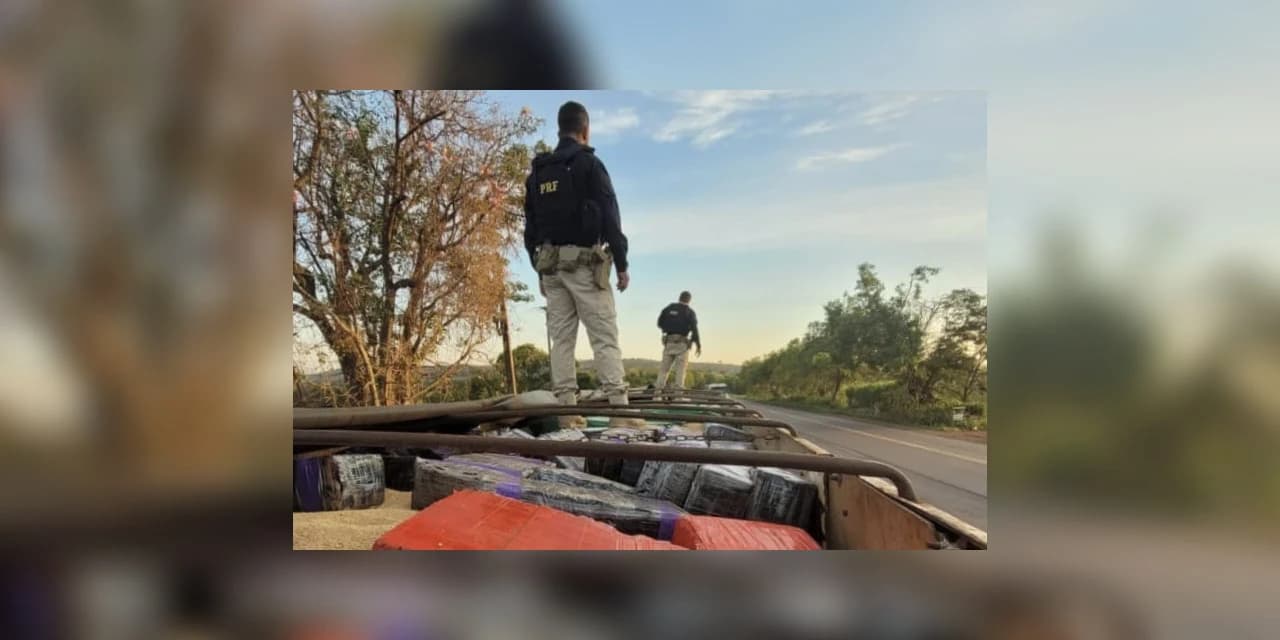 PRF apreende 2,5 toneladas de maconha escondidas em carga de soja no Paraná