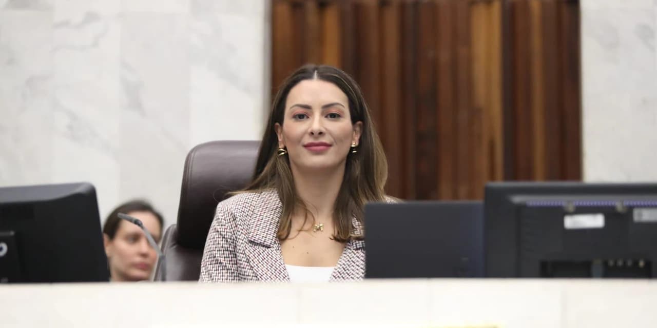 Deputada Mabel Canto lança campanha para preservar a Lei do Parto Adequado
